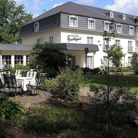 Waldhotel Nachtigall Πάντερμπορν Εξωτερικό φωτογραφία
